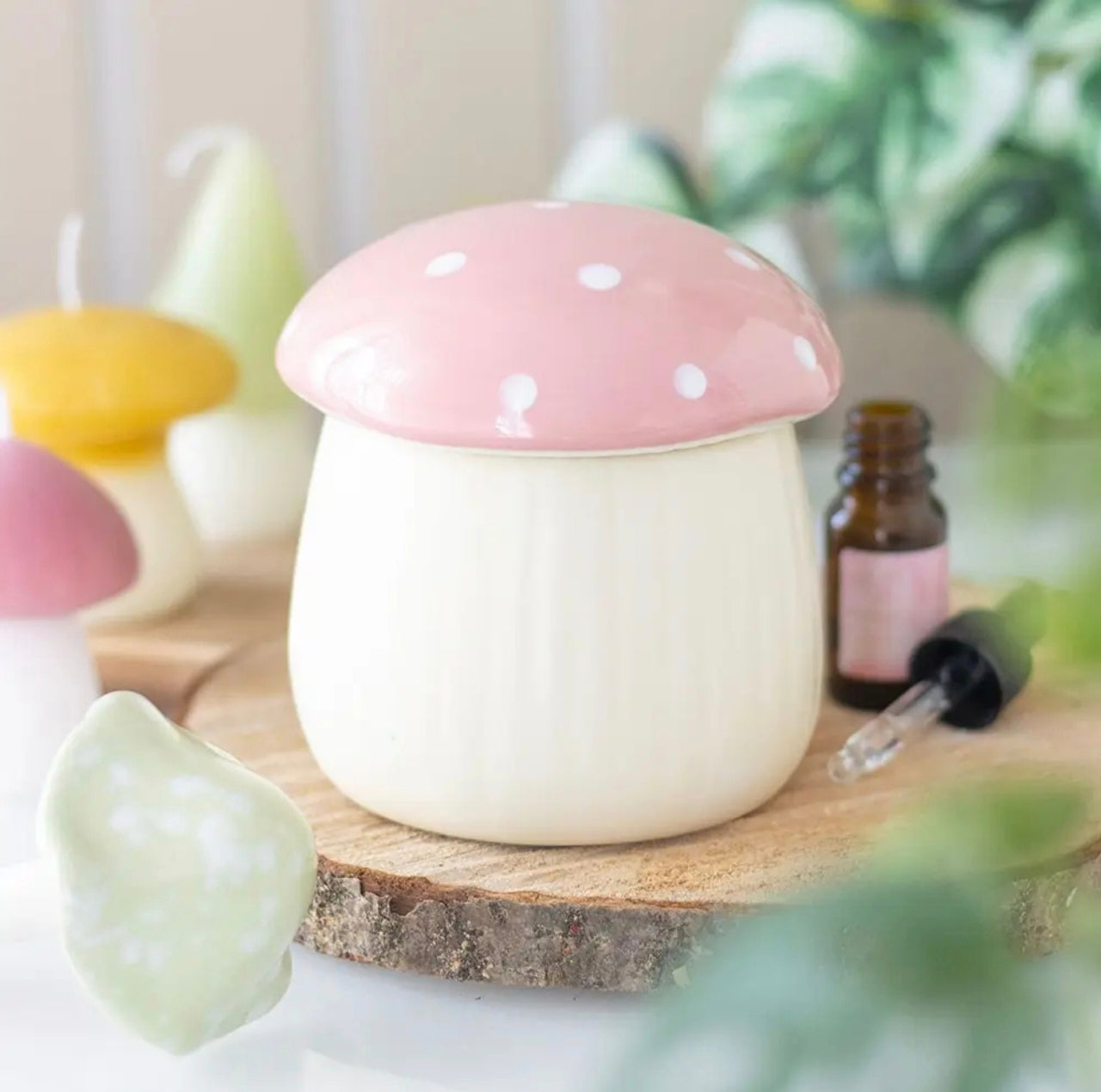 Champignons brûle parfum 🩷
