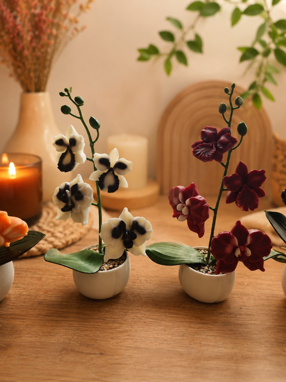 Orchidée élégance 🌸