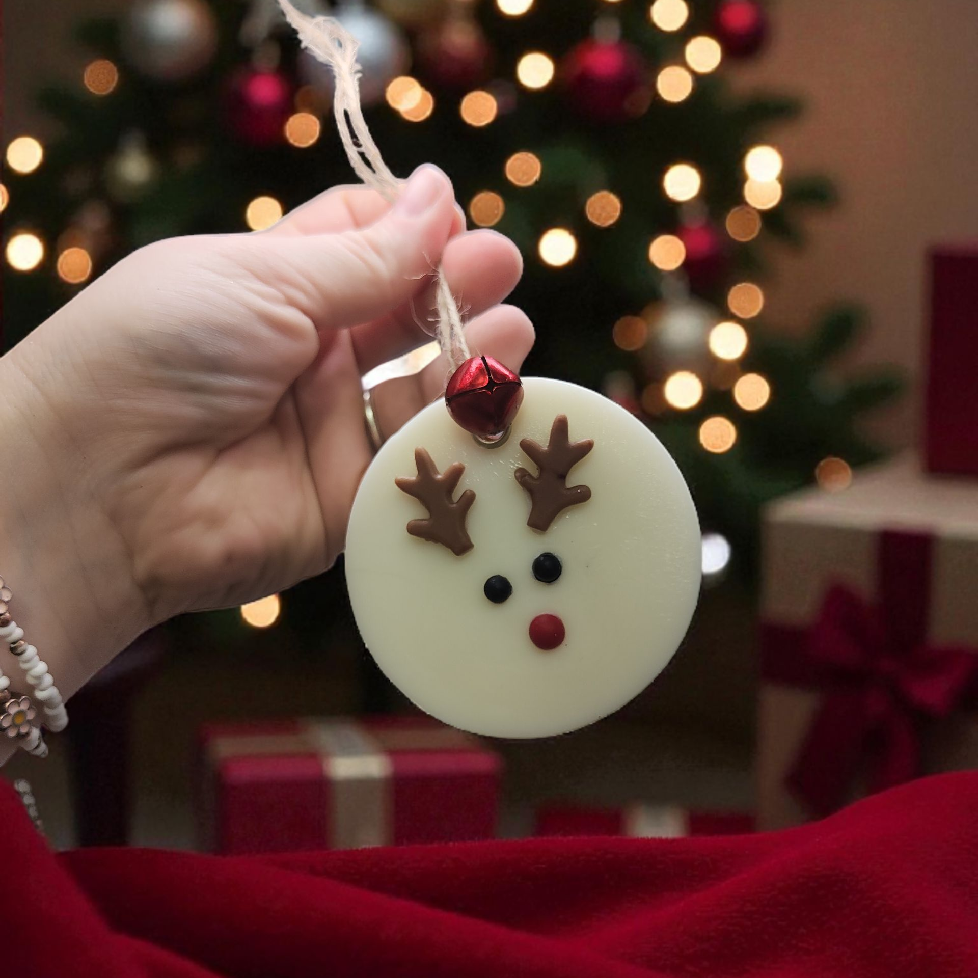 Rudolphe le petit renne 🦌