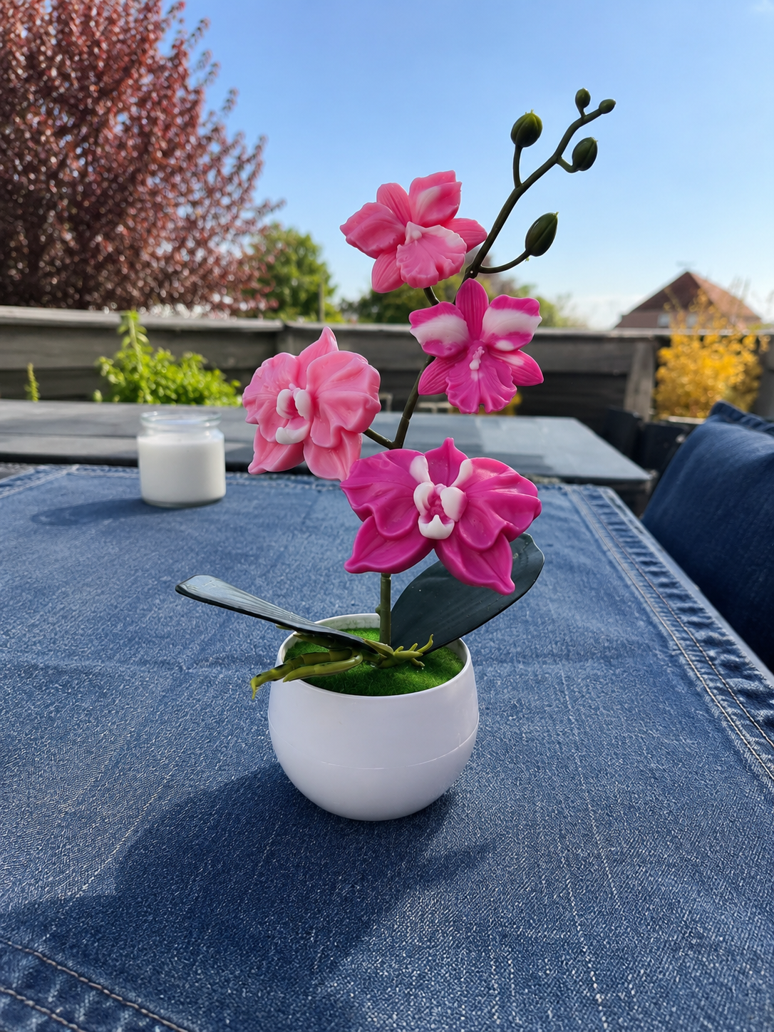 Orchidée élégance 🌸