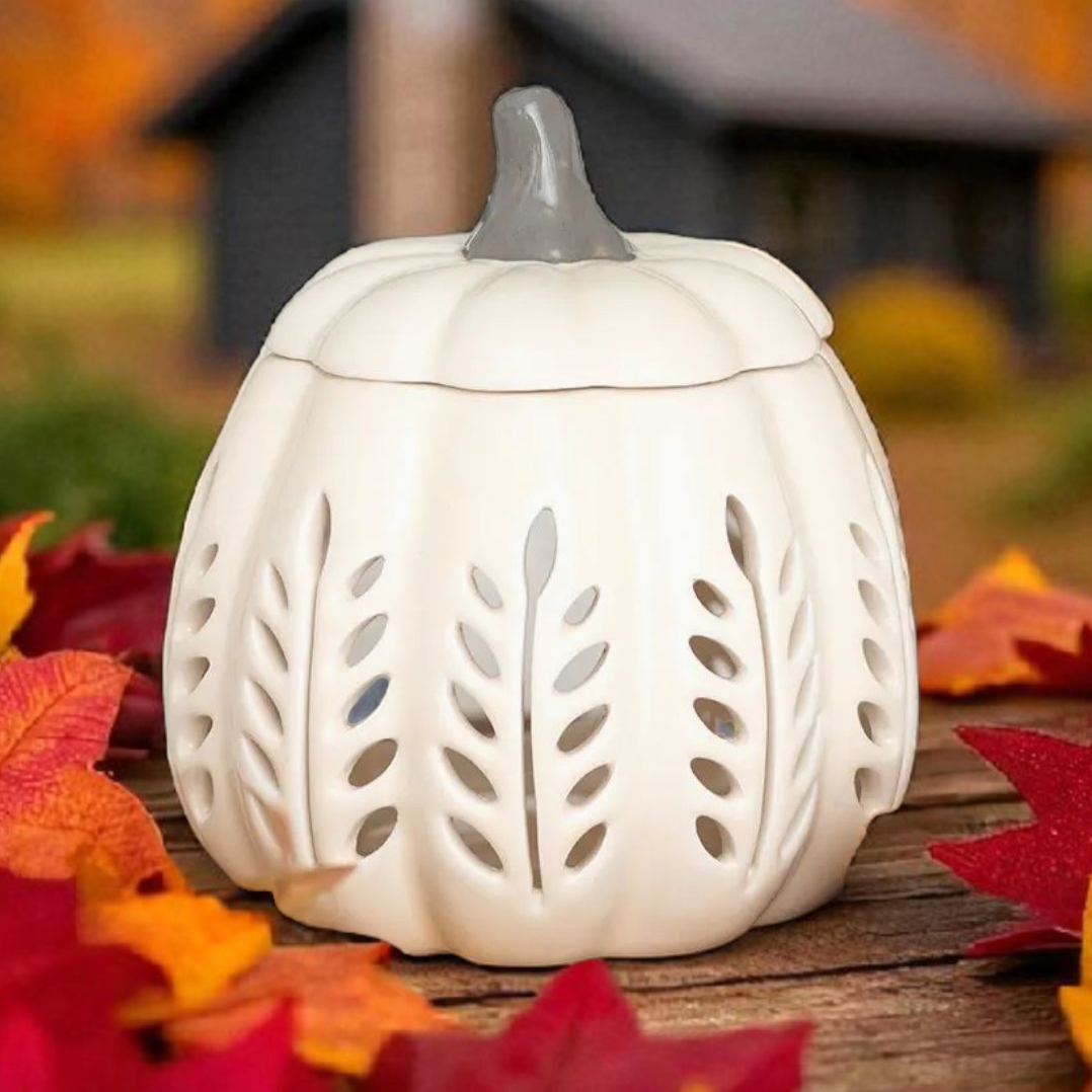 Brule parfum citrouille 🍂