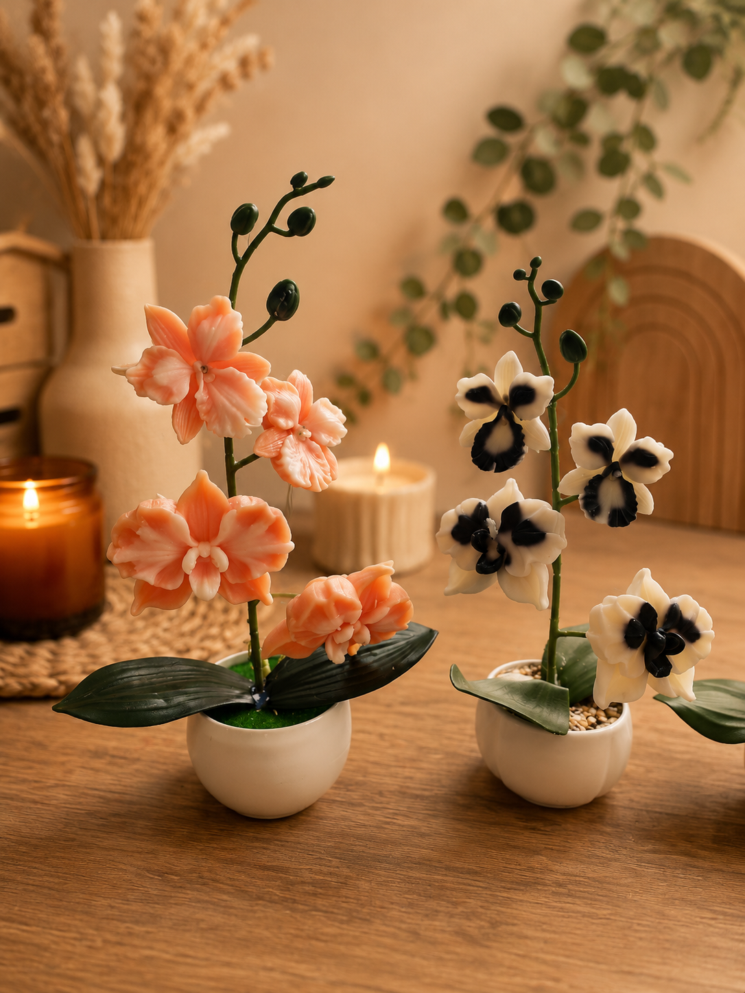Orchidée élégance 🌸