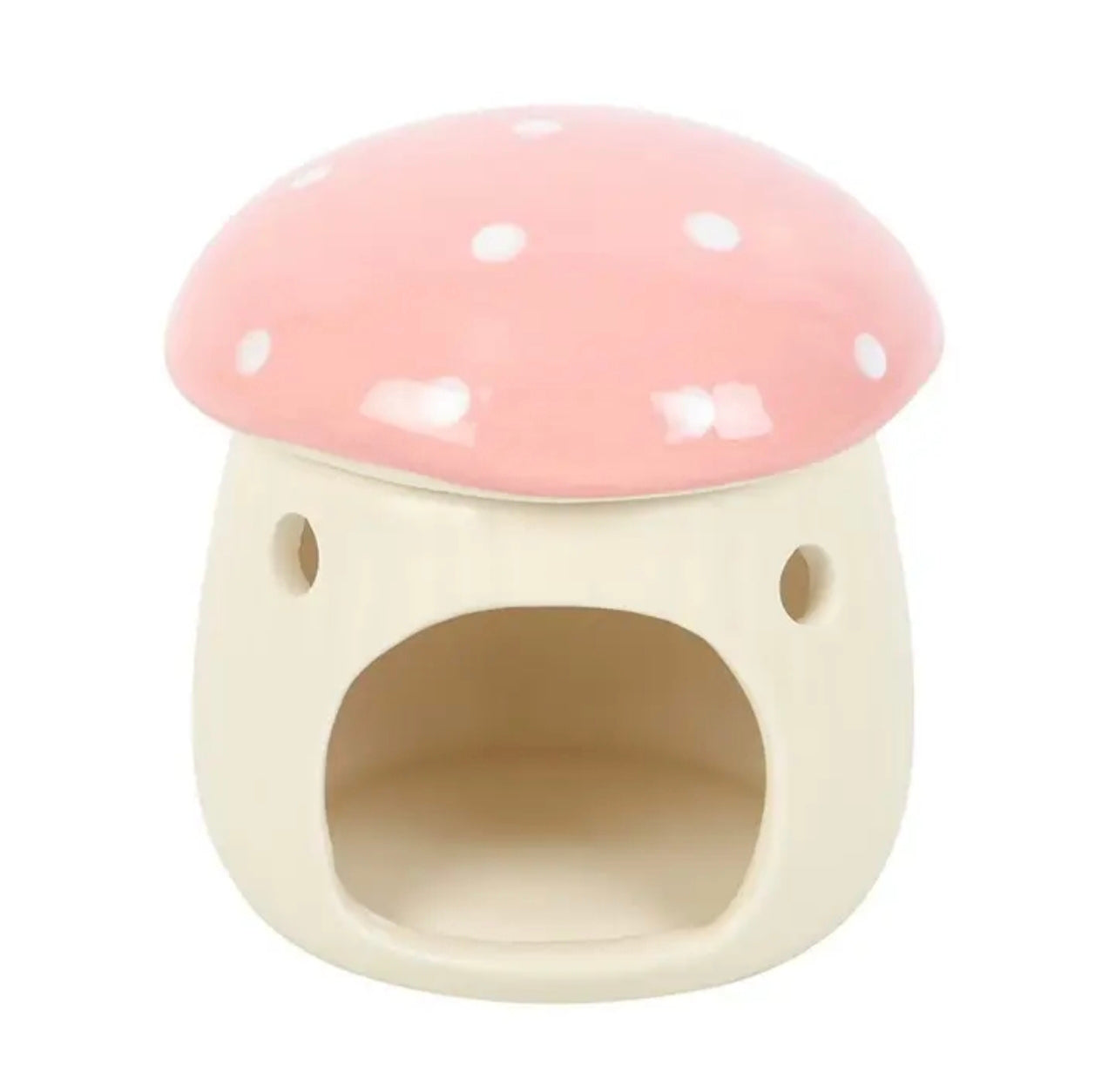 Champignons brûle parfum 🩷