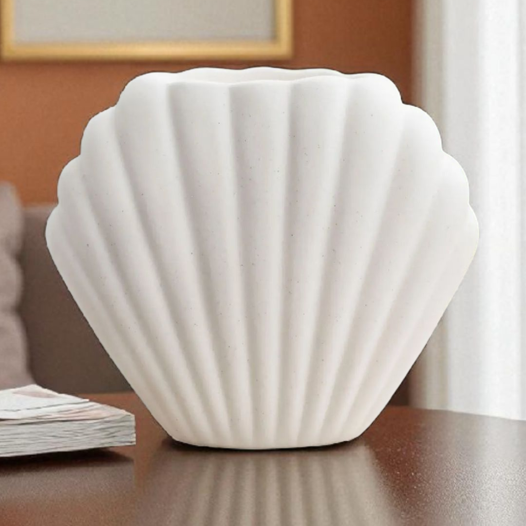 Coquillage design 🤍